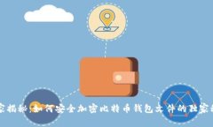专家揭秘：如何安全加密