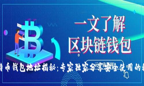 比特币钱包地址揭秘：专家独家分享安全使用的秘诀