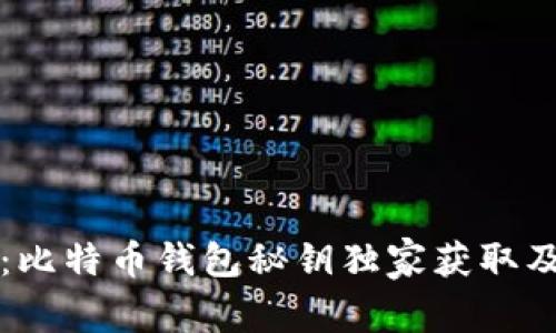 专家揭秘：比特币钱包秘钥独家获取及管理秘诀