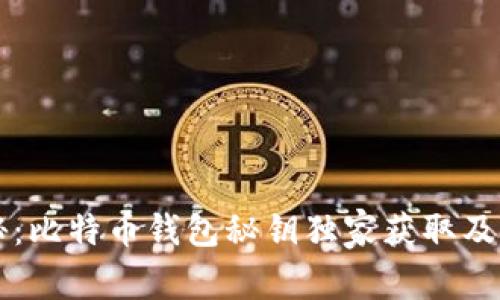 专家揭秘：比特币钱包秘钥独家获取及管理秘诀
