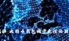 专家揭秘：比特币钱包同