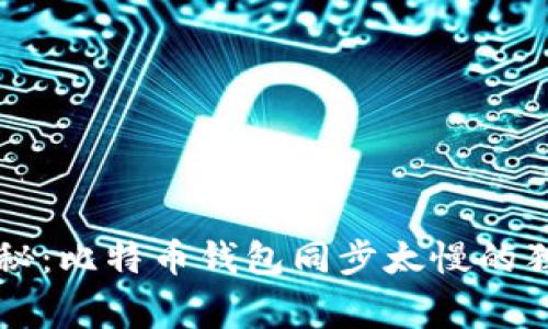 专家揭秘：比特币钱包同步太慢的独家秘诀