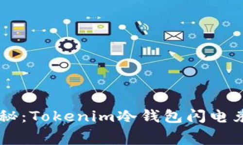 strong专家揭秘：Tokenim冷钱包闪电兑换的独家秘诀