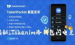 strong专家揭秘：Tokenim冷钱