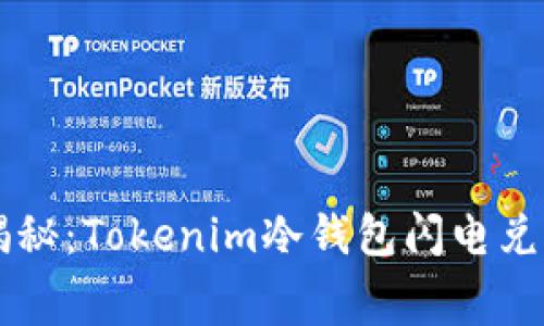 strong专家揭秘：Tokenim冷钱包闪电兑换的独家秘诀
