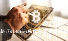 独家揭秘：Tokenim风控专家