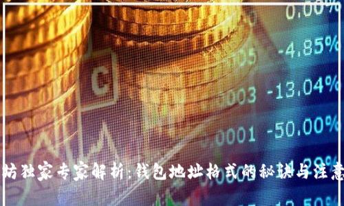 以太坊独家专家解析：钱包地址格式的秘诀与注意事项