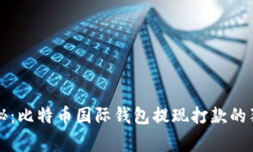 专家揭秘：比特币国际钱包提现打款的独家秘诀