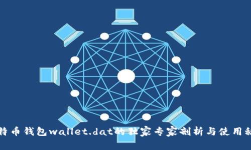 比特币钱包wallet.dat的独家专家剖析与使用秘诀