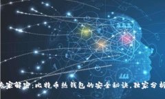 专家解密：比特币热钱包的安全秘诀，独家分析