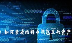 专家揭示：如何查看比特币钱包里的资产独家秘