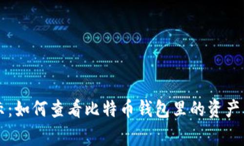 专家揭示：如何查看比特币钱包里的资产独家秘诀