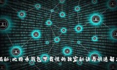 专家揭秘：比特币钱包下载慢的独家秘诀与快速