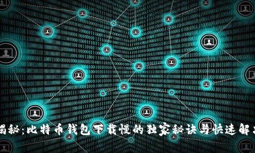 专家揭秘：比特币钱包下载慢的独家秘诀与快速解决方案