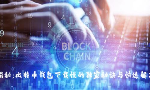 专家揭秘：比特币钱包下载慢的独家秘诀与快速解决方案