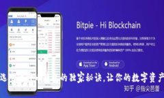 专家揭秘：选对比特币钱包的独家秘诀，让你的