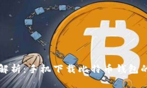 专家独家解析：手机下载比特币钱包的安全秘诀