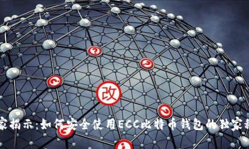 专家揭示：如何安全使用ECC比特币钱包的独家秘诀
