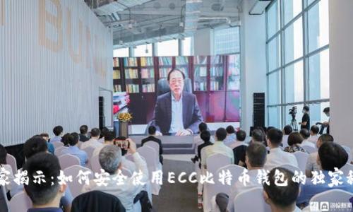 专家揭示：如何安全使用ECC比特币钱包的独家秘诀