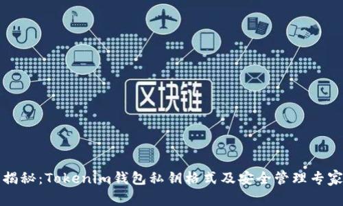 独家揭秘：Tokenim钱包私钥格式及安全管理专家秘诀