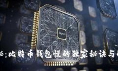 专家揭秘：比特币钱包慢