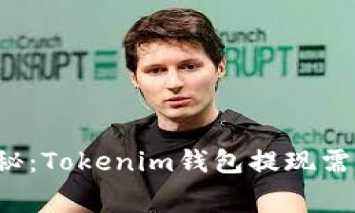 专家独家揭秘：Tokenim钱包提现需要手续费吗？