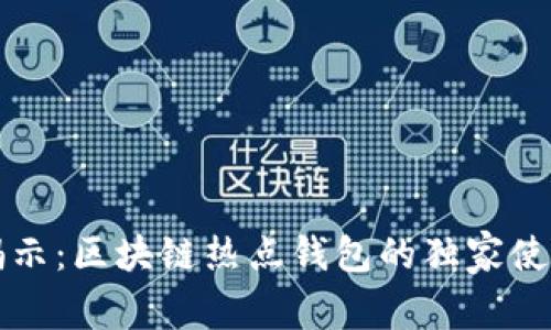 专家揭示：区块链热点钱包的独家使用秘诀