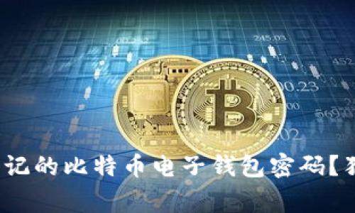 专家揭秘：如何找回忘记的比特币电子钱包密码？独家秘诀助你重获资产