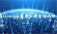 关于您提到的“tokenim”，