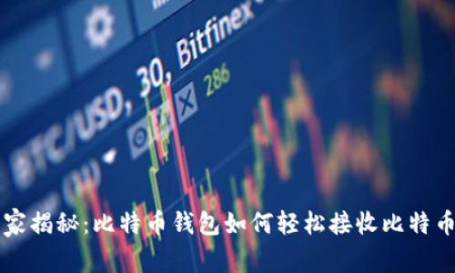 专家独家揭秘：比特币钱包如何轻松接收比特币的秘诀