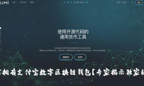 如何拥有支付宝数字区块链钱包？专家揭示独家秘诀！