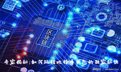 专家揭秘：如何玩转比特币钱包的独家秘诀