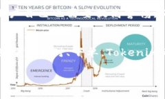   Tokenim交易流程：专家独