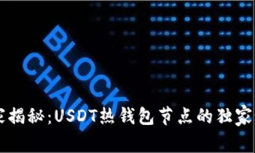 专家揭秘：USDT热钱包节点的独家秘笈