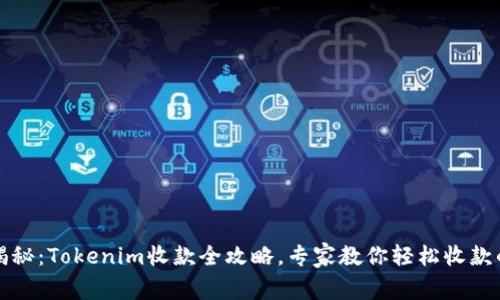 独家揭秘：Tokenim收款全攻略，专家教你轻松收款的秘诀
