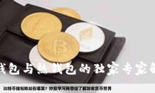 USDT钱包详解：冷钱包与热钱包的独家专家解析，助你安全存储！