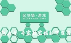 比特币钱包大全：专家独