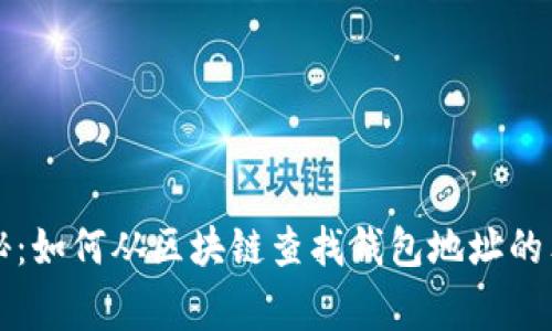 专家揭秘：如何从区块链查找钱包地址的独家秘诀
