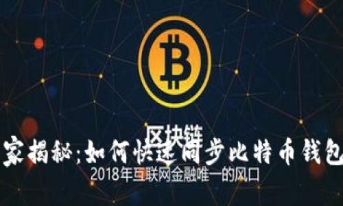 专家独家揭秘：如何快速同步比特币钱包的秘诀