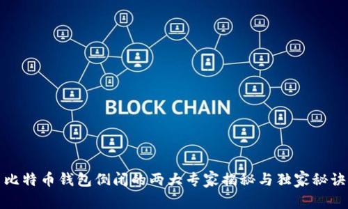 比特币钱包倒闭的两大专家揭秘与独家秘诀