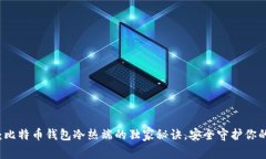 专家揭秘：比特币钱包冷