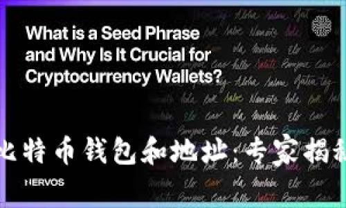深入了解比特币钱包和地址：专家揭秘独家秘诀
