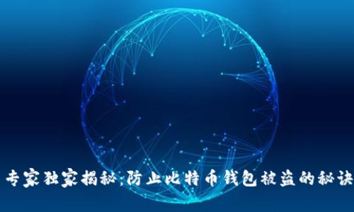 专家独家揭秘：防止比特币钱包被盗的秘诀