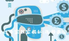 比特币钱包安全性专家独