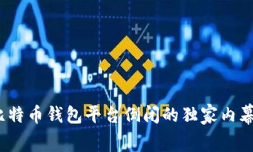 专家揭秘：比特币钱包平台倒闭的独家内幕与防范秘诀