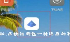 专家揭秘：区块链钱包一