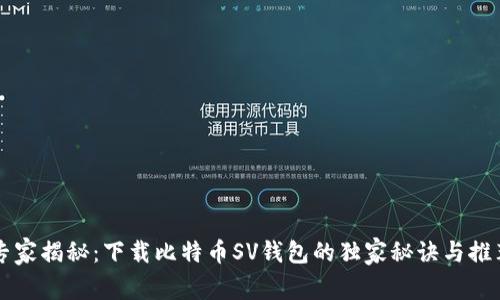 专家揭秘：下载比特币SV钱包的独家秘诀与推荐