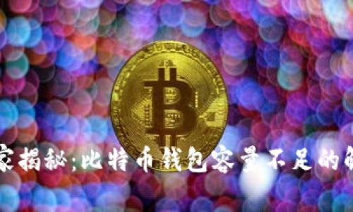 专家独家揭秘：比特币钱包容量不足的解决秘诀