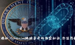专家揭秘：Tokenim地址多开