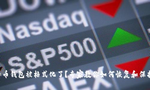 ### 比特币钱包被格式化了？专家教你如何恢复和保护你的资产！